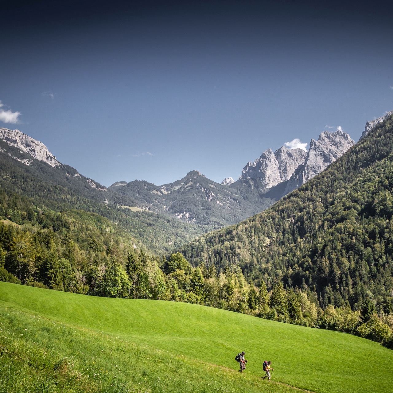 https://unserweg.kufstein.com/wp-content/uploads/2024/11/Kaisertal_Wanderung_1cTVB-Kufsteinerland_WernerFill.jpg